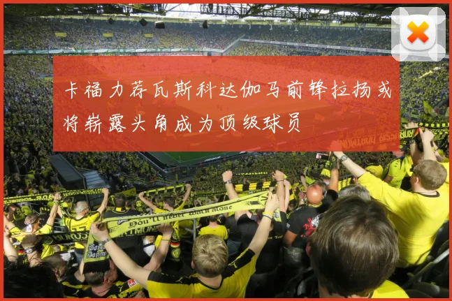 卡福力荐瓦斯科达伽马前锋拉扬或将崭露头角成为顶级球员