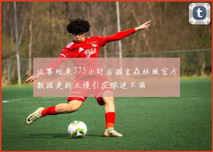 比赛结束375小时后掘金森林狼官方数据更新太慢引发球迷不满