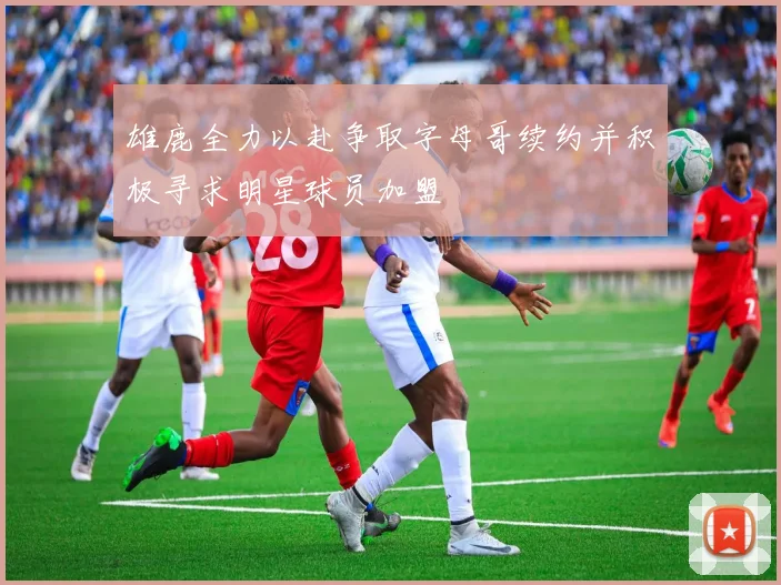 雄鹿全力以赴争取字母哥续约并积极寻求明星球员加盟