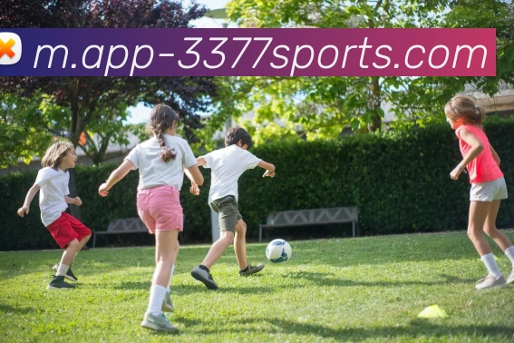 3377体育发展历程